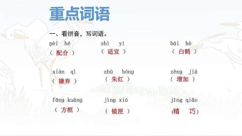 五下1白鹭课件第5页