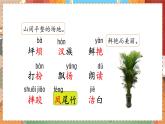 人教部编语文3上 第1单元 1.《大青树下的小学》 PPT课件+教案+练习