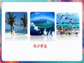 人教部编语文3上 第6单元 18.《富饶的西沙群岛》 PPT课件+教案+练习