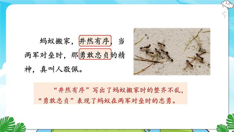 人教部编语文3上 第7单元 22.《读不完的大书》 PPT课件+教案+练习05
