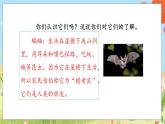 人教部编语文4上 第2单元 6. 夜间飞行的秘密 PPT课件+教案+练习