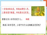 人教部编语文4上 第2单元 8. 蝴蝶的家 PPT课件+教案+练习