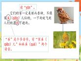 人教部编语文4上 第2单元 8. 蝴蝶的家 PPT课件+教案+练习