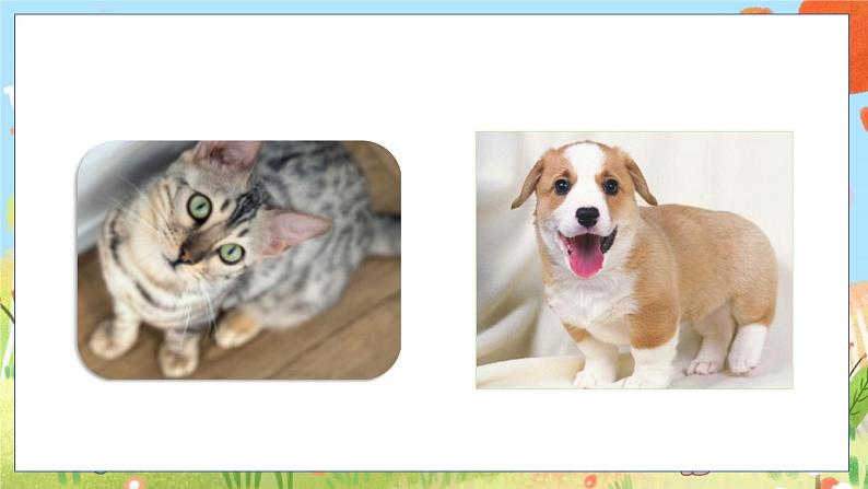 人教部编语文4上 第2单元 习作：小小“动物园” PPT课件+教案02