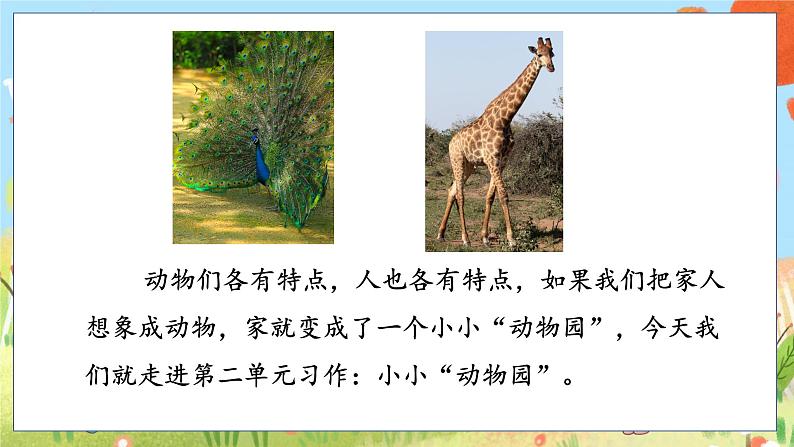 人教部编语文4上 第2单元 习作：小小“动物园” PPT课件+教案03