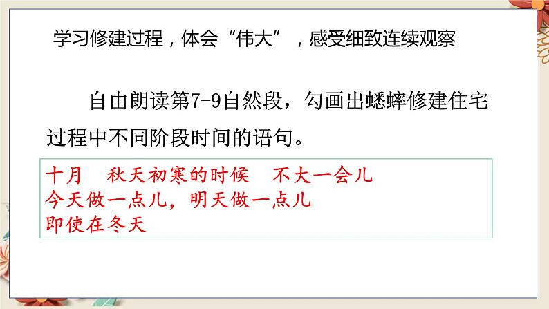 人教部编语文4上 第3单元 11. 蟋蟀的住宅 PPT课件+教案+练习04