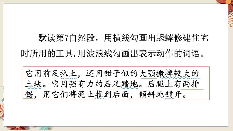 人教部编语文4上 第3单元 11. 蟋蟀的住宅 PPT课件+教案+练习06