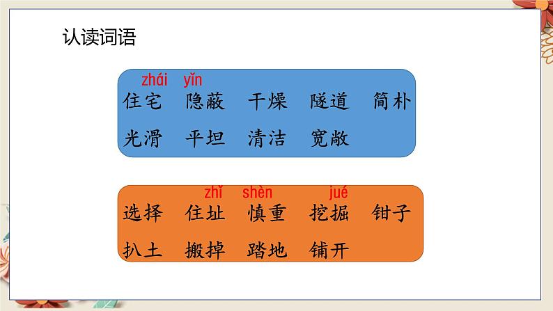 人教部编语文4上 第3单元 11. 蟋蟀的住宅 PPT课件+教案+练习07