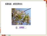 人教部编语文4上 第3单元 习作：写观察日记 PPT课件+教案