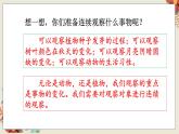 人教部编语文4上 第3单元 习作：写观察日记 PPT课件+教案