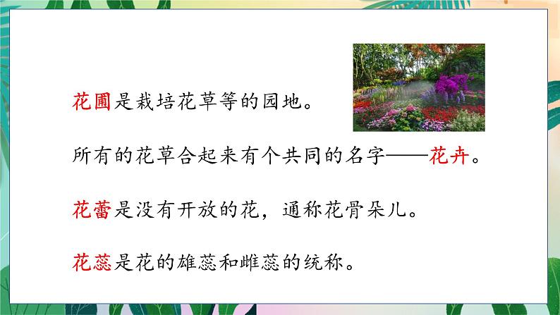 人教部编语文4上 第4单元 语文园地四 PPT课件+教案07
