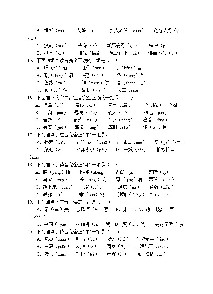 小升初专项总复习-字音辨析A卷-2022-2023学年语文六年级下册（统编版）第3页