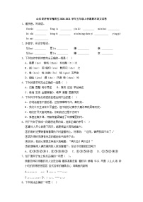 山东省济南市槐荫区2020-2021学年五年级上学期期末语文试卷