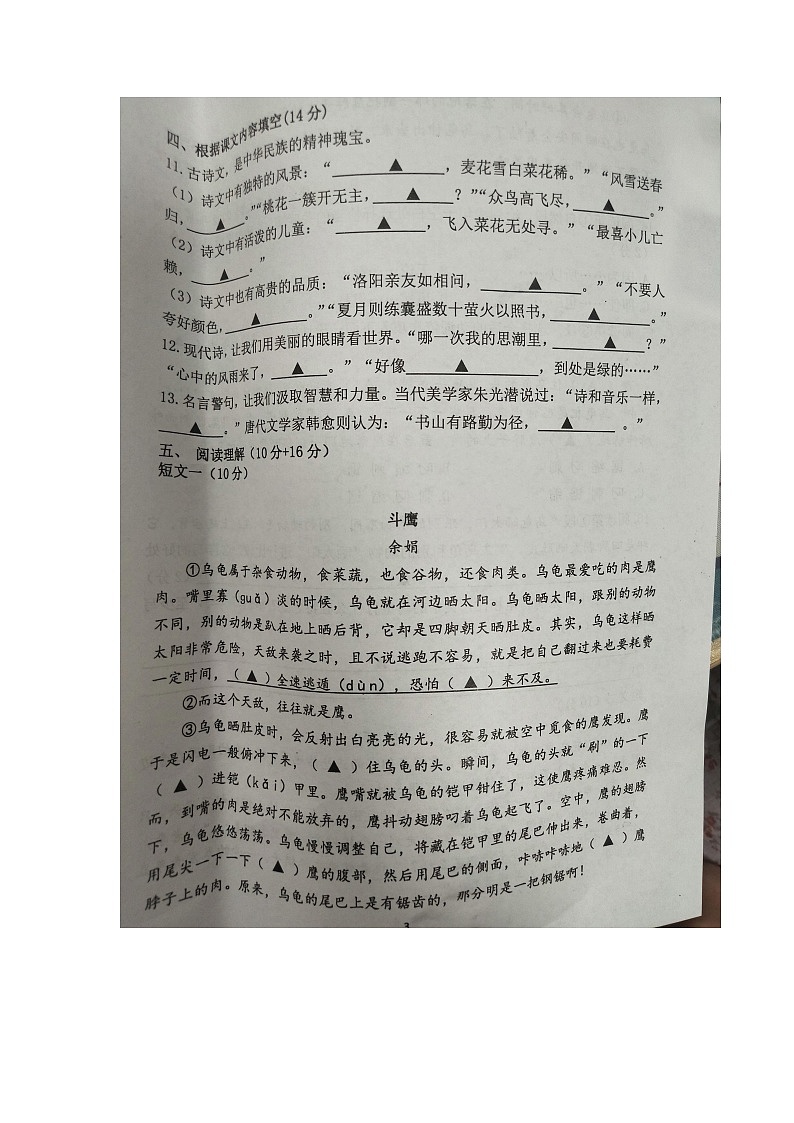 江苏省南京市2022-2023学年四年级下学期期末素养测评语文试卷03