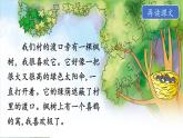 9《枫树上的喜鹊》课件+教案