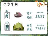 9《枫树上的喜鹊》课件+教案