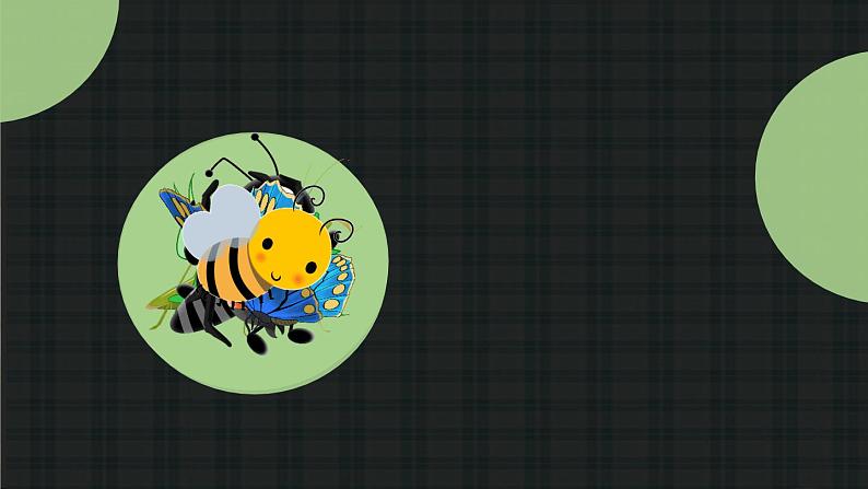 11《我是一只小虫子》课件+教案01