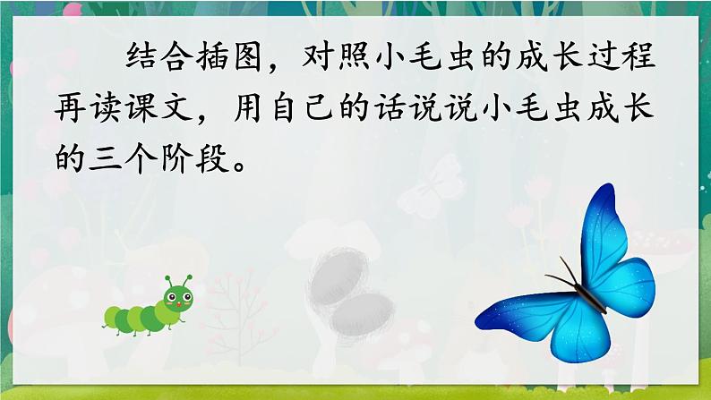 22《小毛虫》课件+教案08