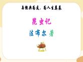 部編版語文六上《昆蟲記》名著導(dǎo)讀（課件PPT）