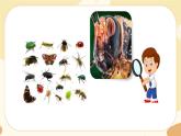 部編版語文六上《昆蟲記》名著導(dǎo)讀（課件PPT）