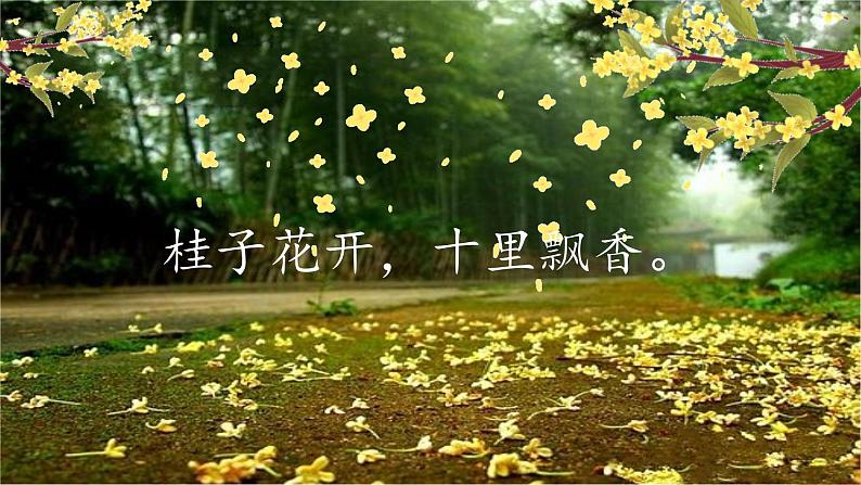 部编版语文5上 3《桂花雨》课件PPT+教案+课文朗读02