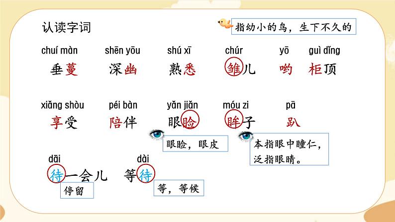 部编版语文5上 4《珍珠鸟》课件PPT第4页