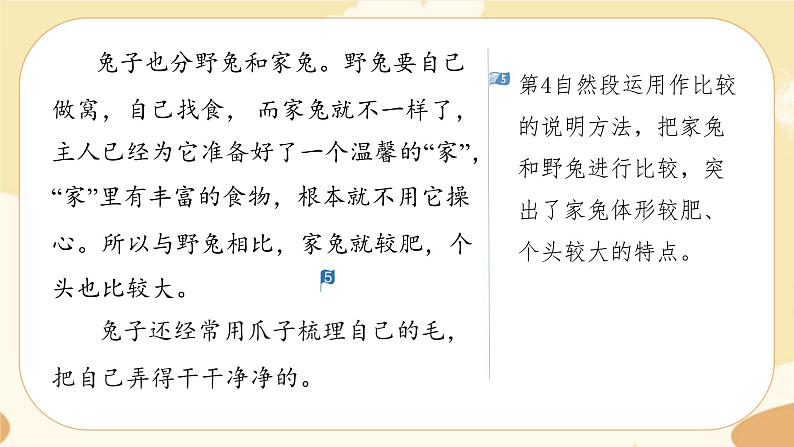 部编版语文5上《习作五：介绍一种事物》课件PPT+教案+课文朗读04