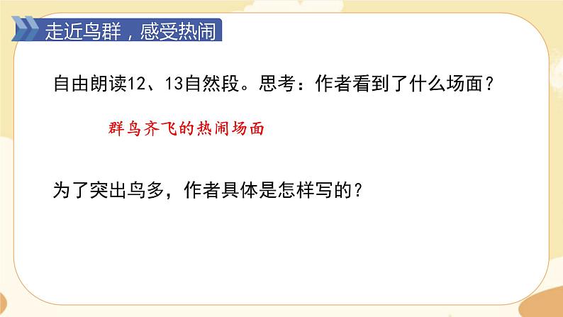 部编版语文5上 23《鸟的天堂》课件PPT+教案+课文朗读03