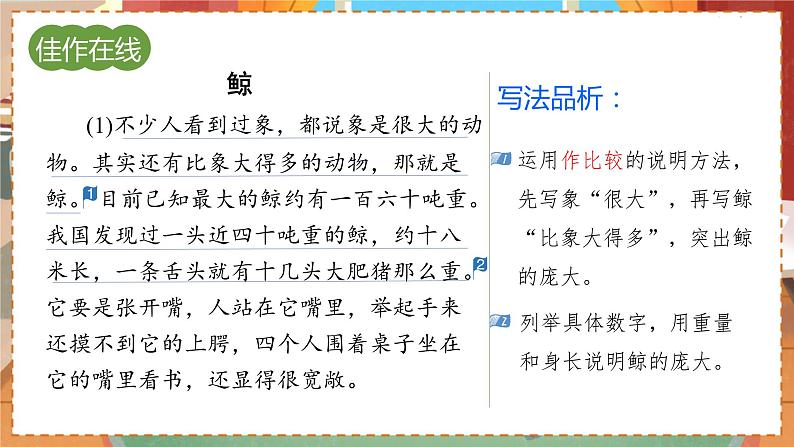 人教部编语文5上 第5单元 习作例文 PPT课件04