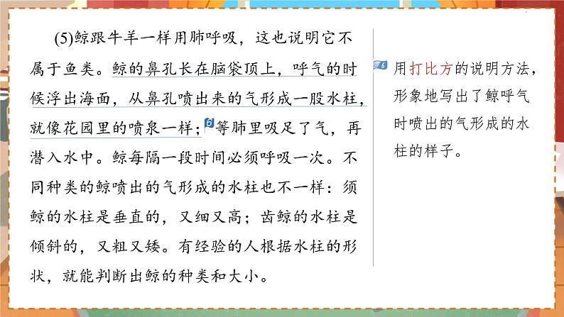 人教部编语文5上 第5单元 习作例文 PPT课件08