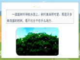 人教部编语文5上 第7单元 语文园地 PPT课件