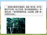 人教部编语文5上 第7单元 语文园地 PPT课件