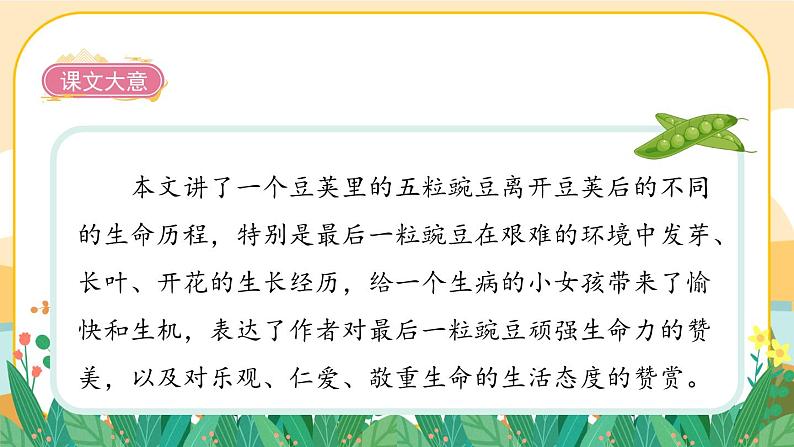 部编版语文四年级上册5《一个豆荚里的五粒豆》课件PPT03