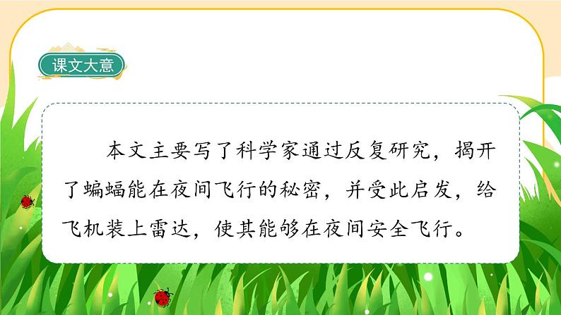 部编版语文四年级上册6《夜间飞行的秘密》课件PPT第3页