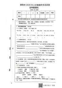 湖南省长沙市浏阳市2019-2020学年五年级下学期期末语文试卷