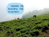 部編版語文6上20《青山不老》課件PPT