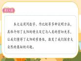 16《太阳》课件PPT(部编版语文五上)