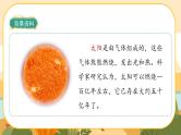 16《太阳》课件PPT(部编版语文五上)