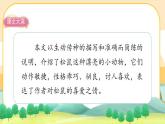 17《松鼠》課件PPT(部編版語(yǔ)文五上)