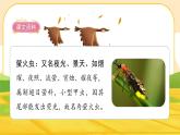 22《四季之美》课件PPT(部编版语文五上)