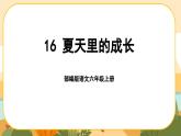 部编版语文6上16《夏天里成长》课件PPT