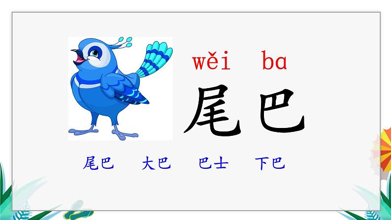 一年级上册语文（人教版）第6单元 6  比尾巴 PPT课件+教案05