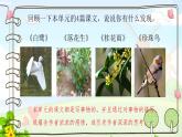 五上语文园地一课件PPT