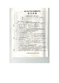 重庆市忠县2022-2023学年六年级下学期期末语文试卷