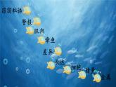 23.《海底世界》课件ppt 三年级下