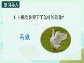 15 白鹅 课件  ppt 四年级语文下册课件