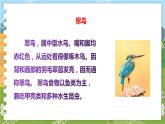 部编版语文三年级上册 15.搭船的鸟 第一课时 课件