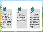 部编版语文三年级上册 16.金色的草地 第一课时 课件