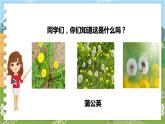 部编版语文三年级上册 16.金色的草地 第一课时 课件