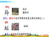 部编语文二年级上册语文园地八课件+教案+练习+素材
